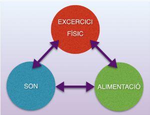 Altres formes de minimitzar riscos de lesions